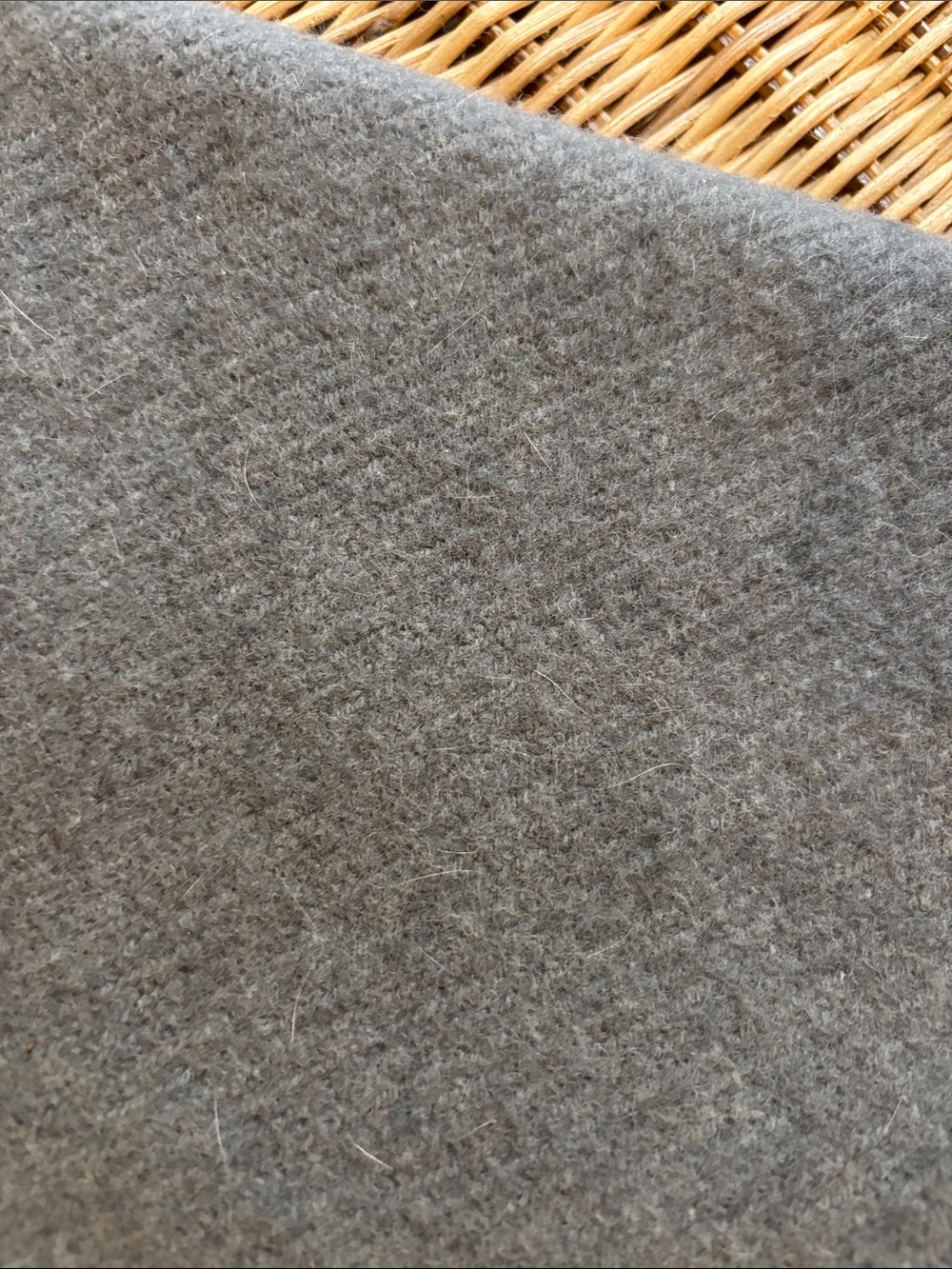 Coach Scarf - Picture 6 of 7